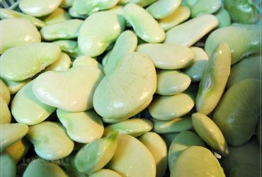 烹飪筆記│營養料理自己做- 新鮮皇帝豆，花$60元材料費做出4道料理(有秘笈)